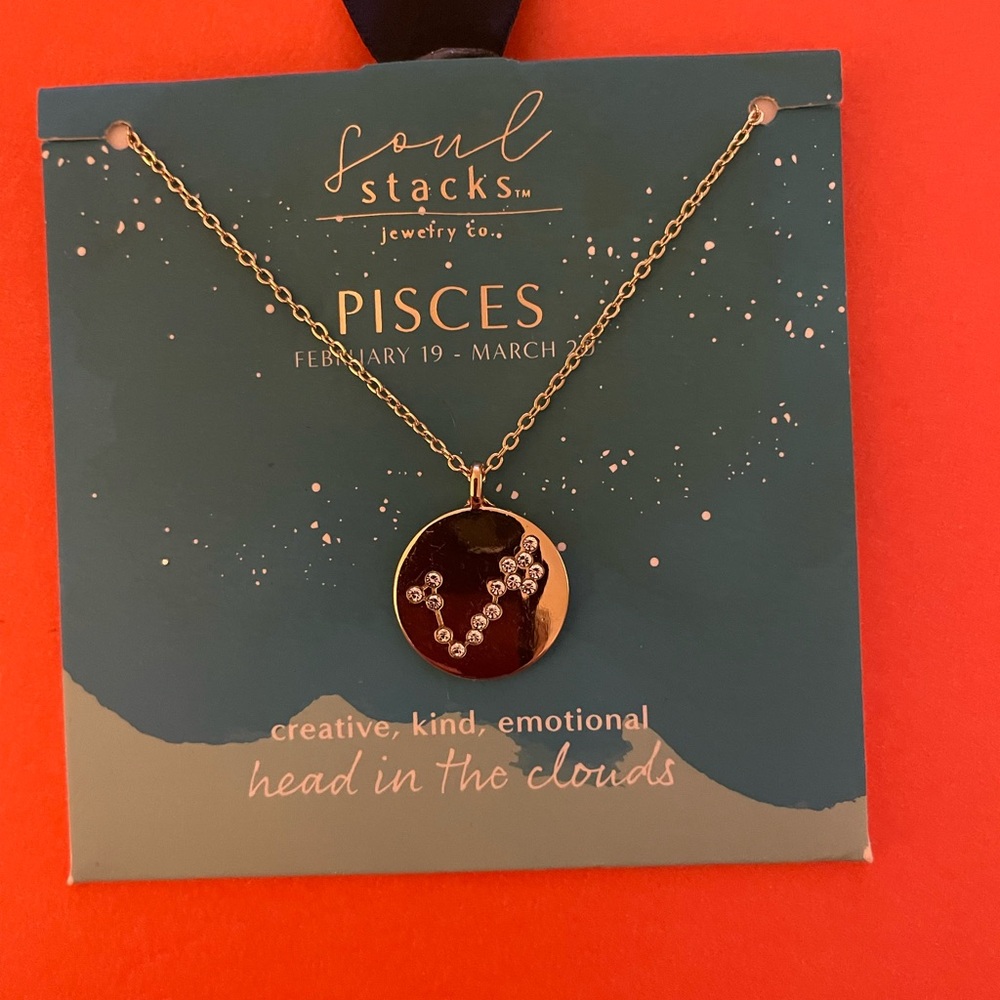 Necklace , nwt